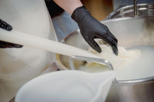 Matera Cheese Making Class: Be a Real Dairy Man for a Day! - Frequently Asked Questions