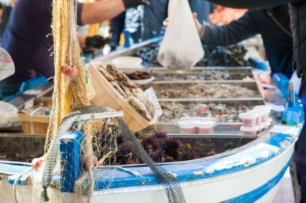 Matera: Market Tour and Authentic Cooking Experience - Connection With Local Italian Families