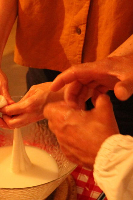 Matera: Mozzarella and Cheese Tasting With a Cheesemaker - Breakfast With Organic Dairy