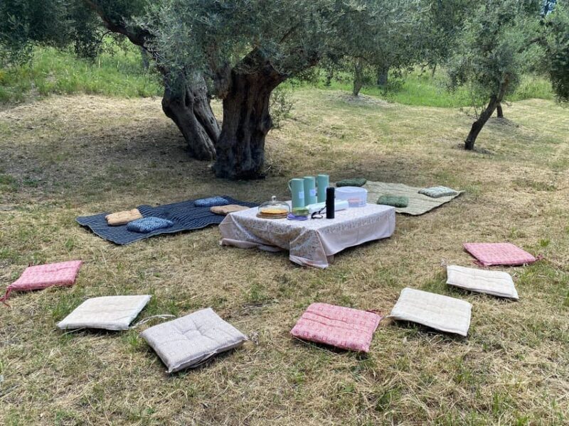 Matera: Pic-Nic under the Centuries-Old Olive Trees - A Detailed Look at the Olive Grove Picnic Experience