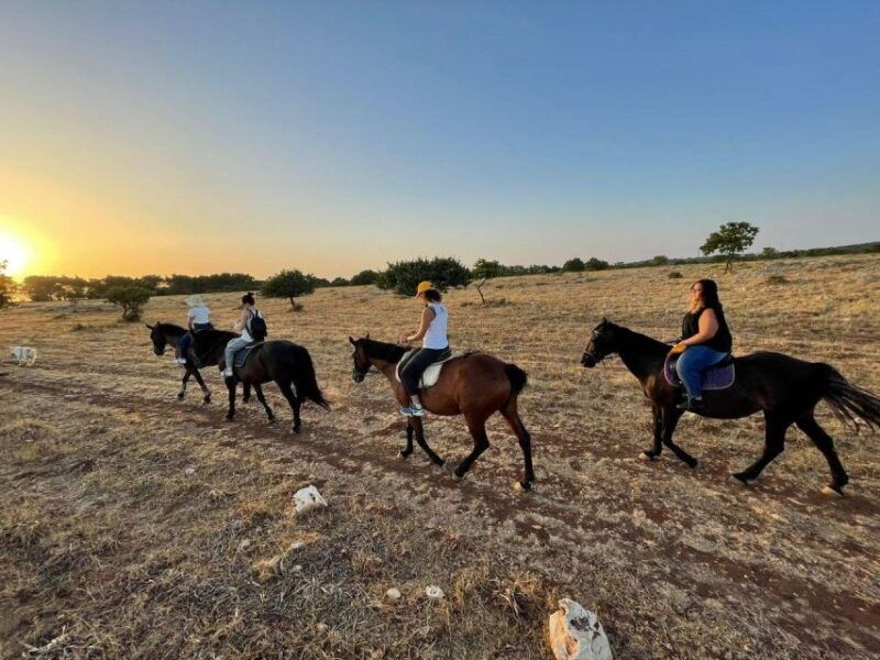 Matera: Sunset Horseback Riding Tour on Murgia - Good To Know