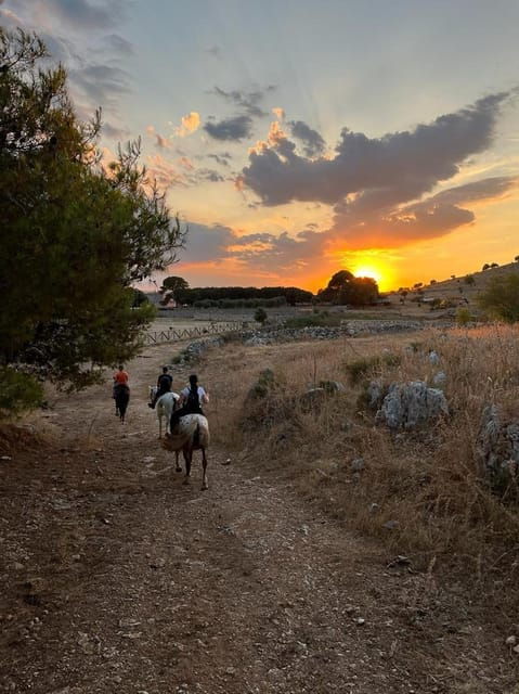 Matera: Sunset Horseback Riding Tour on Murgia - What to Expect During the Experience
