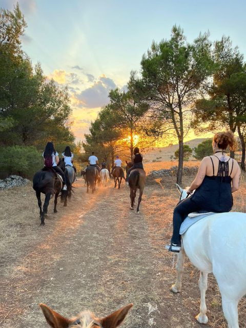 Matera: Sunset Horseback Riding Tour on Murgia - Scenic Landscapes of Murgia