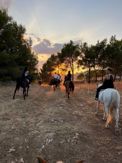 Matera: Sunset Horseback Riding Tour on Murgia - Good To Know