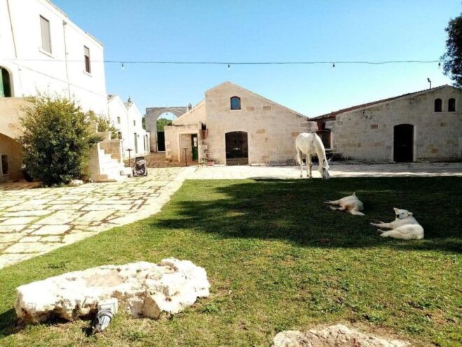 Matera: Sunset Horseback Riding Tour on Murgia - Inclusions and Safety Measures