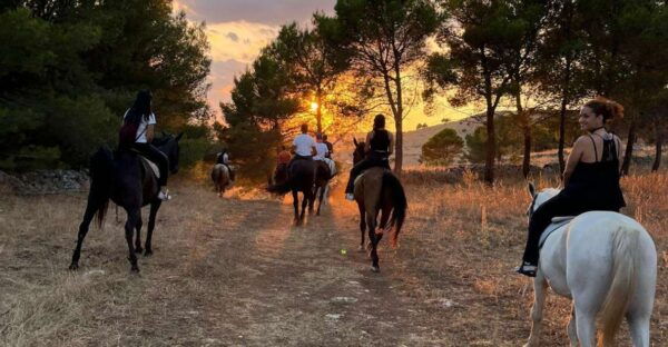 Matera: Sunset Horseback Riding Tour on Murgia - Meeting Point and Preparation