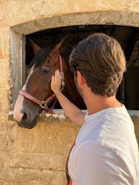 Matera: Sunset Horseback Riding Tour on Murgia - Frequently Asked Questions