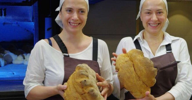 Matera: Traditional Bread Workshop. Do Your Loaf of Bread! - Frequently Asked Questions
