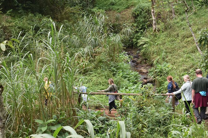 Materuni Day Trip - What To Expect During the Trip