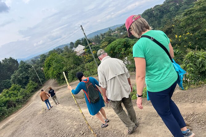 Materuni Waterfalls and Chemka Hotspring Tour - The Sum Up