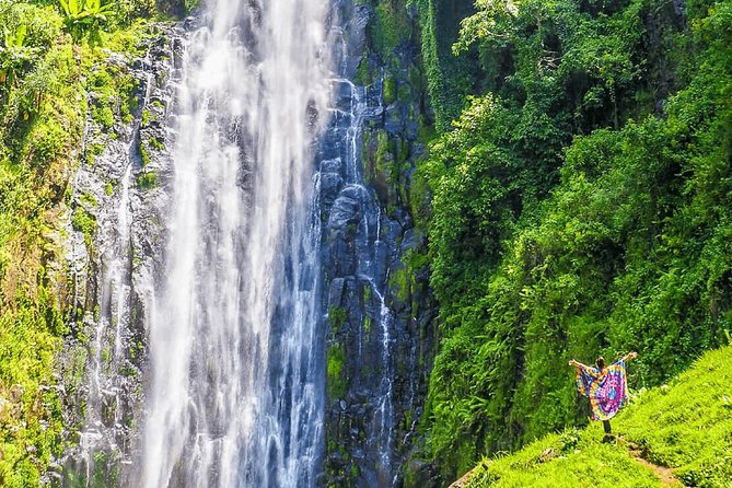Materuni Waterfalls and Coffee Day Tour - Operator Details