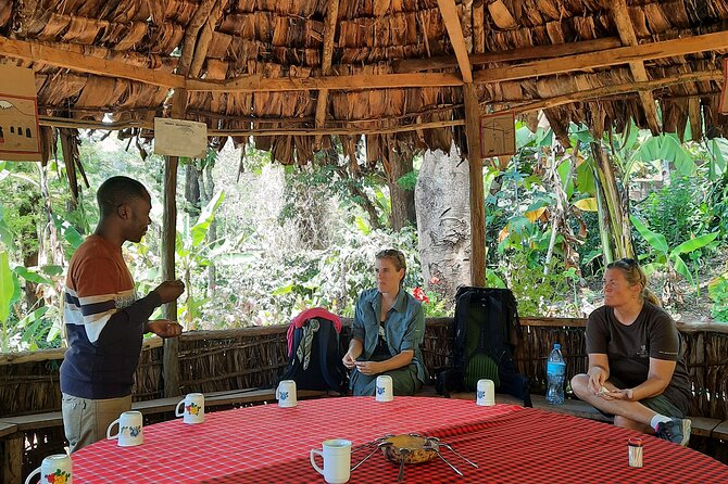 Materuni Waterfalls and Coffee Tour - The Sum Up