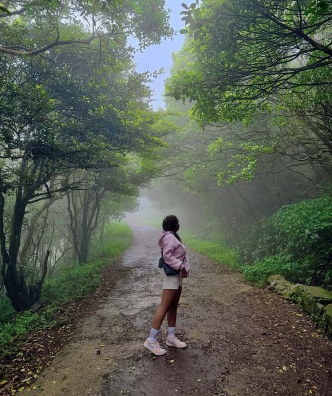 Mathale/Kandy: Riverston Peak Tour with Transfers - Final Thoughts