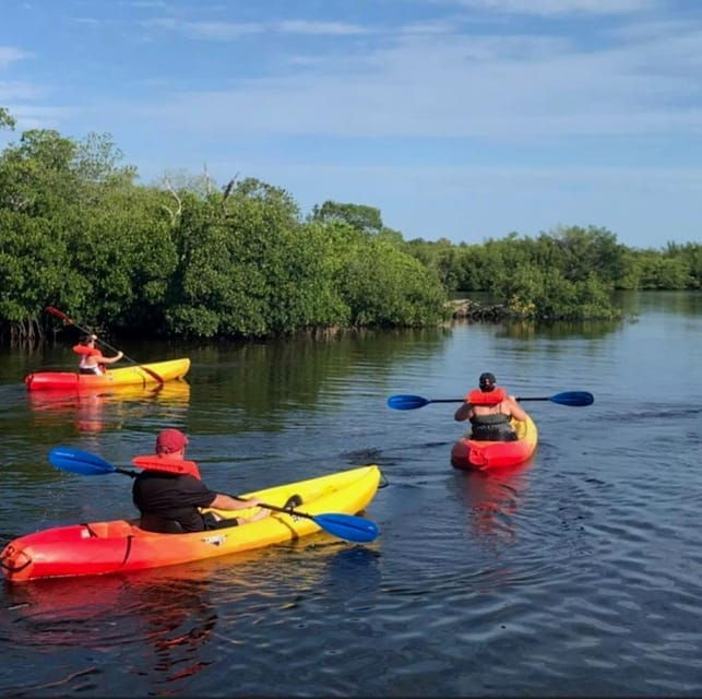 Matlacha: Dolphin & Mangrove Kayak Tour - Included Gear