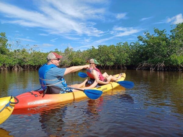 Matlacha: Dolphin & Mangrove Kayak Tour - Restrictions