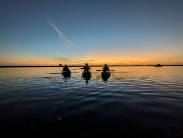 Matlacha: Guided Sunrise or Sunset Kayak Tour - What to Expect on the Tour