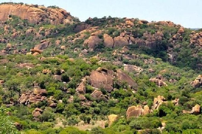 Matopos Park Day Game Drive With Rhino Tracking! - Whats Included in the Tour