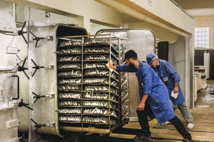 Matosinhos: Conservas Pinhais Factory Tour - Activity Details
