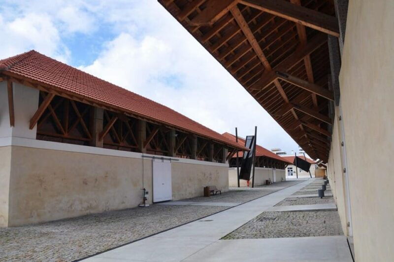 Matosinhos (Porto): From the Sea to your Plate Food Tour - Final Thoughts