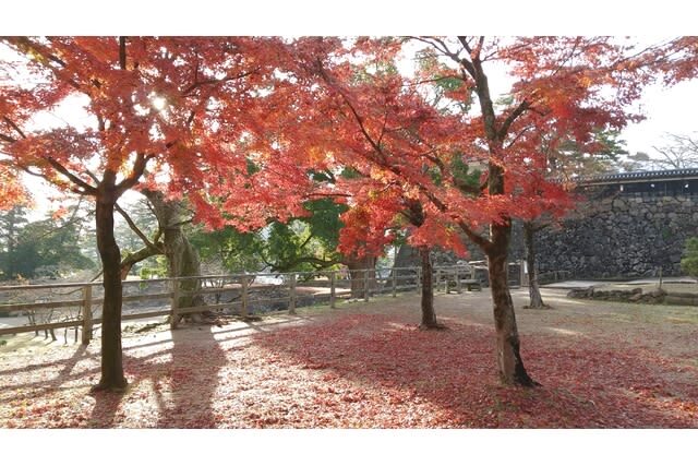 Matsue Castle admission ticket (Shimane) - A rare old keep at the heart of Matsue