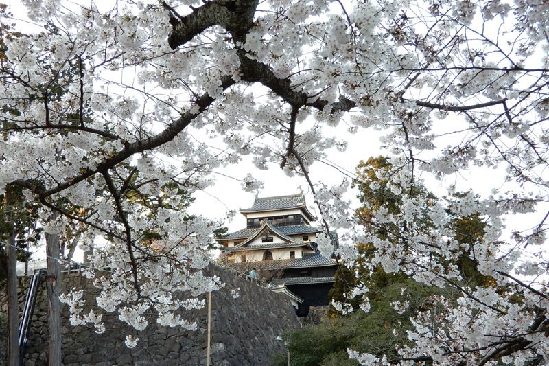 Matsue Castle admission ticket (Shimane) - Is the online ticket worth the price?
