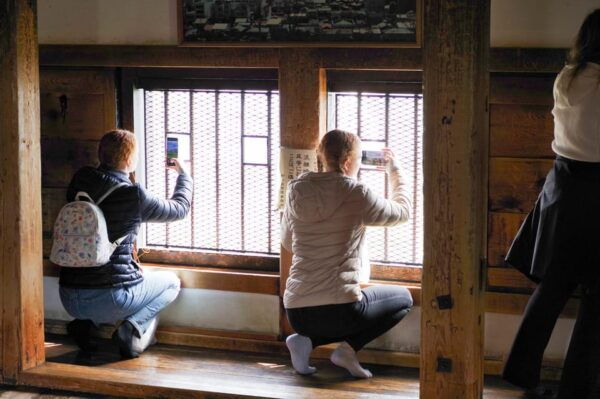 Matsumoto Castle, Sake & Food Walking Tour in Nagano - Frequently Asked Questions