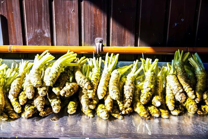 Matsumoto Everything: Castle, Miso, Wasabi, Wine & Ukiyo-e - Introduction