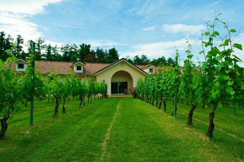 Matsumoto Everything: Castle, Miso, Wasabi, Wine & Ukiyo-e - Afternoon: Tasting Locally Produced Japanese Wine