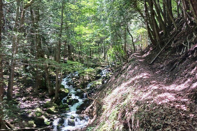 Matsumoto Mt.Hachibuse - The Trail: What to Expect