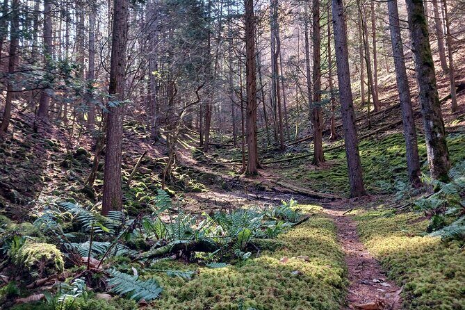 Matsumoto Mt.Hachibuse - When and Who Should Book?