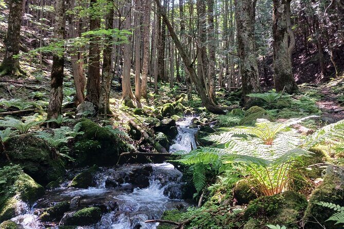 Matsumoto Mt.Hachibuse - Good To Know