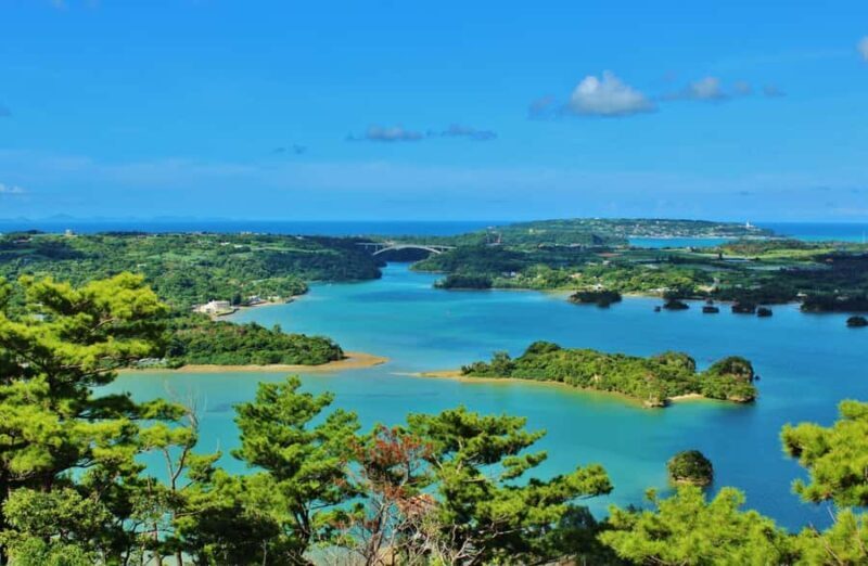 Matsushima: Scenic Bay Walk & Historic Temple Discovery - Who Is This Tour Best For?