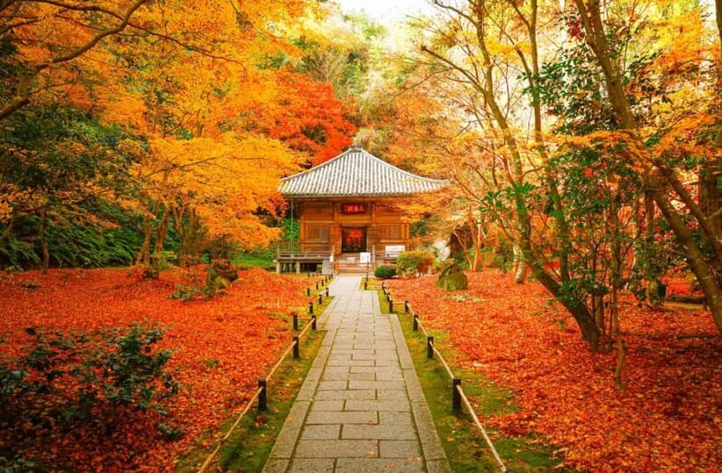 Matsushima: Scenic Bay Walk & Historic Temple Discovery - The Sum Up