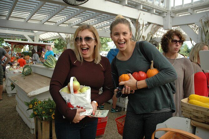 Mattituck Bike Wine Country and Fruit Orchard Tour - An In-Depth Look at the Tour Experience