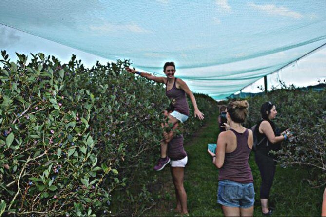 Mattituck Bike Wine Country and Fruit Orchard Tour - FAQ