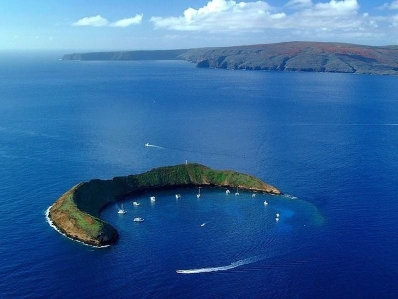 Maui: Afternoon Molokini or Coral Gardens Snorkel Tour - Two Maui snorkel sites, one captain’s call