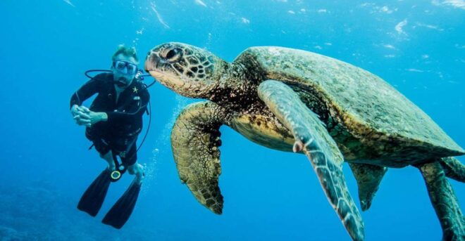 Maui: Beginner Discovery Scuba Dive Excursion From Lahaina - Customer Reviews