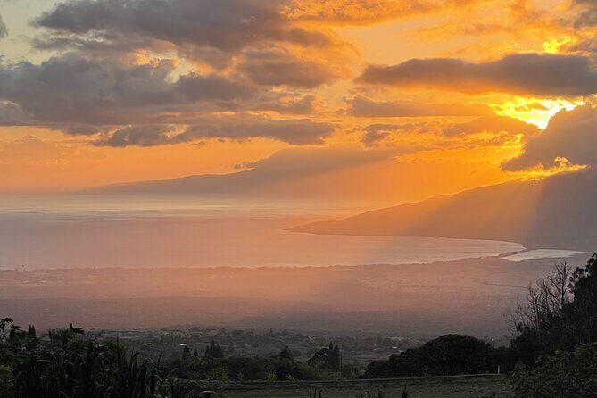 Maui Birdwatching at Maui Bird House - Who Will Love This Tour?