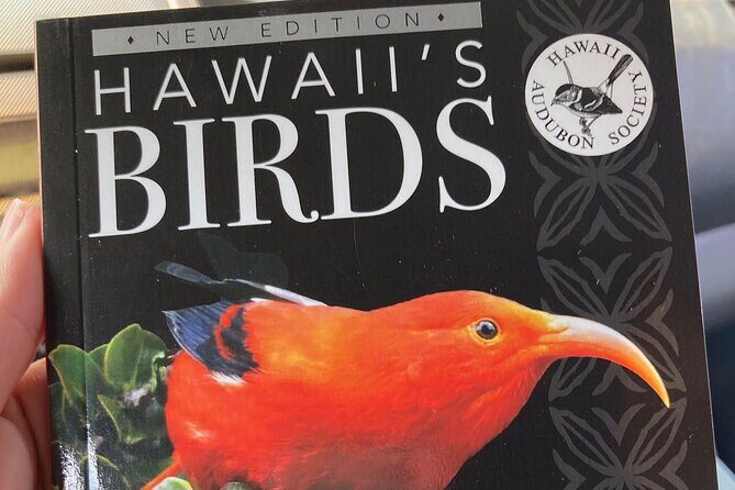 Maui Birdwatching at Maui Bird House - Practical Details and Considerations