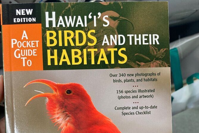 Maui Birdwatching at Maui Bird House - The Sum Up