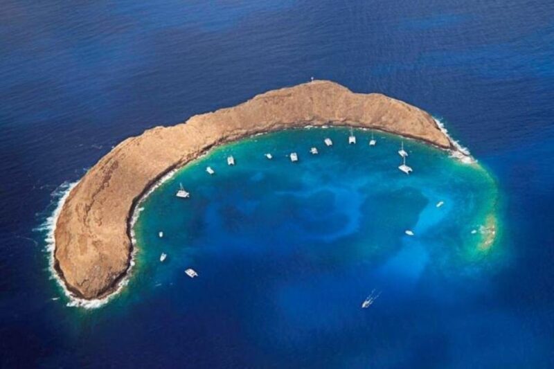 Maui: Deluxe Molokini Snorkel with Breakfast & Lunch - Who Would Love This Tour?