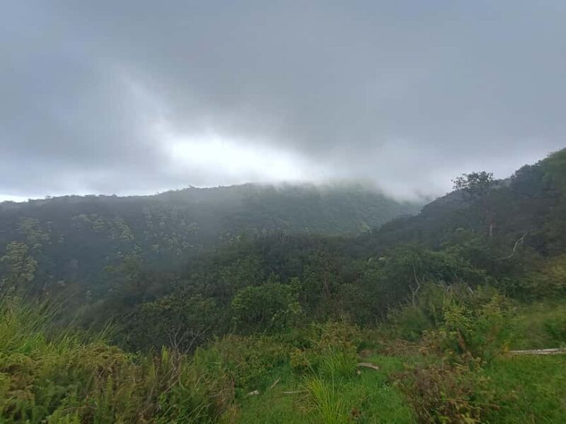 Maui: East Side Hiking Tour - Why This Tour Might Be Perfect for You