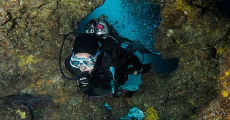 Maui: Eco-Friendly Conservation Dive for Certified Divers - Experience Highlights