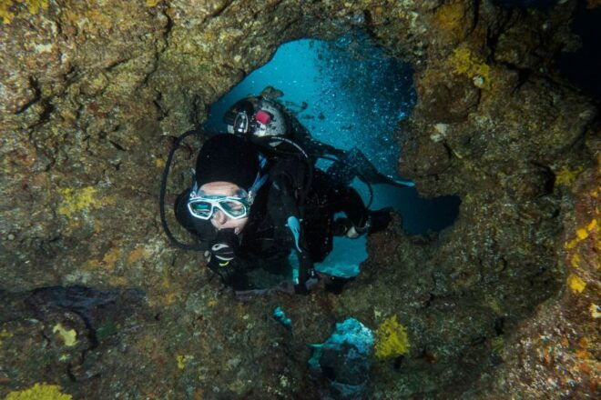Maui: Eco-Friendly Conservation Dive for Certified Divers - Full Description