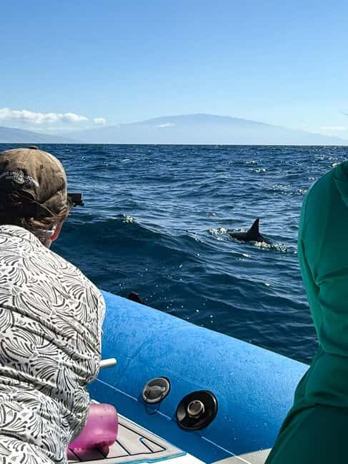 Maui: Eco-Raft Dolphin Watch Tour with Snacks - An In-Depth Look at the Maui Eco-Raft Dolphin Watch Tour