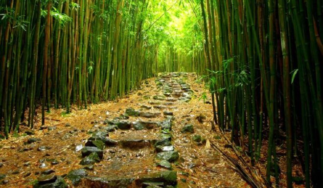 Maui: Full Day Hiking Tour With Lunch - Meeting Point