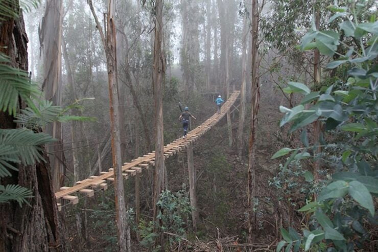 Maui: Haleakala 5-Line Zipline Adventure - Activity Details
