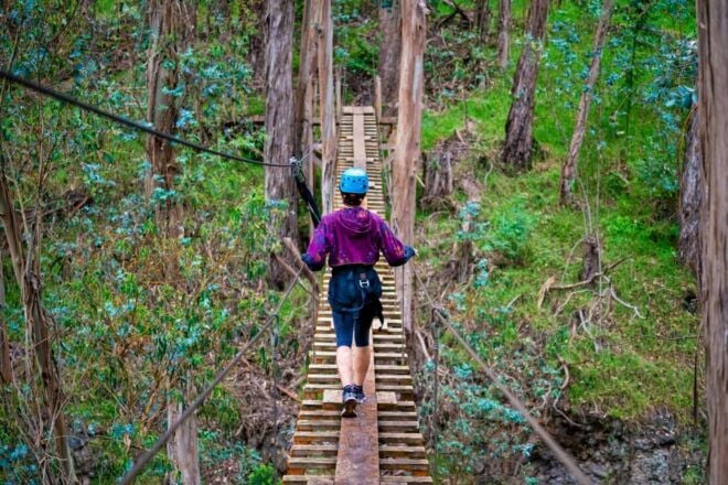 Maui: Haleakala 5-Line Zipline Adventure - Related Activities or Attractions