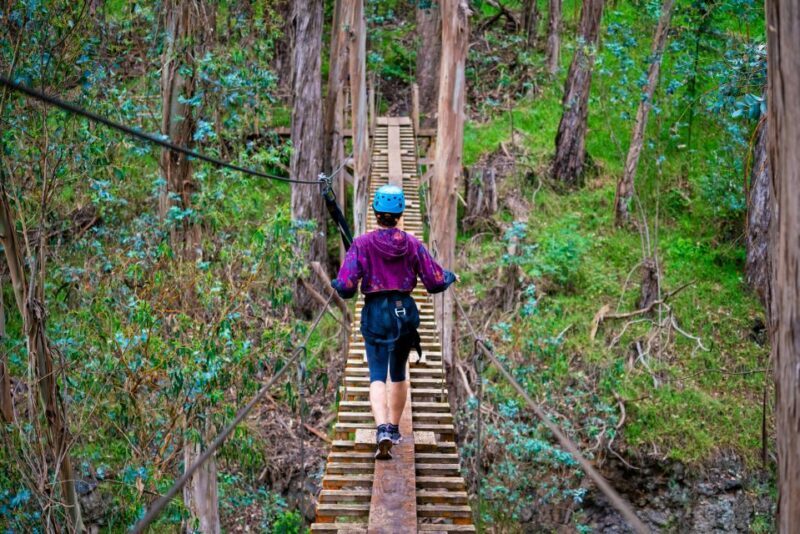 Maui: Haleakala 6-Line Zipline Adventure - Authentic Experiences & Tips from Real Travelers