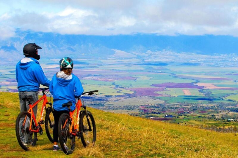 Maui: Haleakala Guided Bike Tour - Discovering Upcountry Maui and Makawao